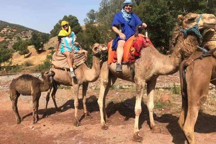 Full-Day Atlas Mountains, Imlil Valleys & Waterfalls Tour from Marrakech photo 3