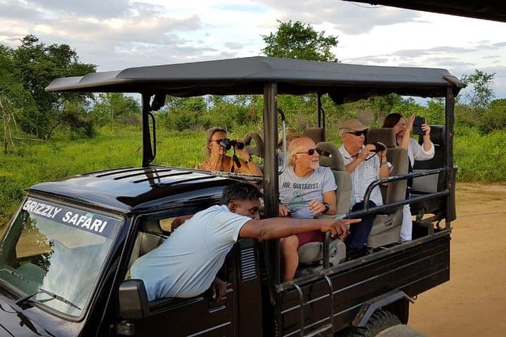 Yala Half-Day Safari: See Leopards and Elephants in Yala National Park