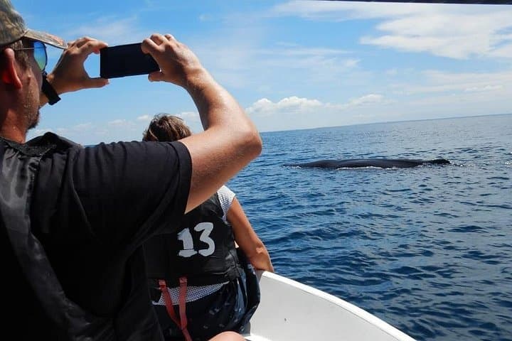 Sunrise Dolphin Watching & Bar Reef Snorkelling in Kalpitiya, Sri Lanka photo 4