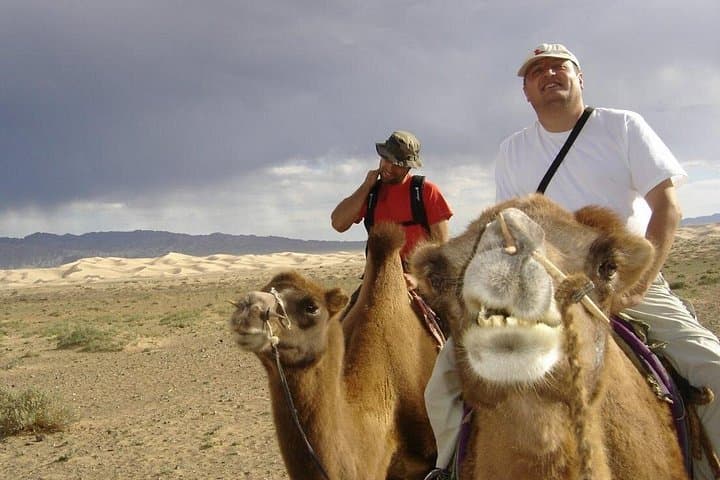 Semi-Gobi Day Tour from Ulaanbaatar: Elsen Tasarkhai Sand Dunes, Camel & Nomad Visit