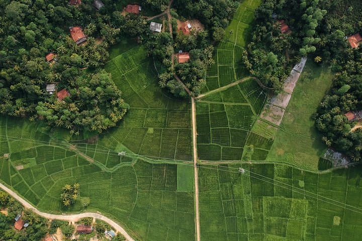 Ceylon Endearment: A 25-Day Cultural and Coastal Journey Through Sri Lanka
