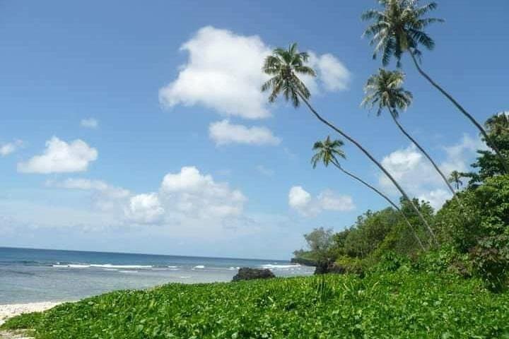 Namua Island: Swim with Turtles and Explore Eastern Upolu photo 4