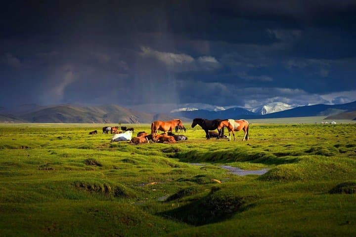 Customized Mongolia Private Tour – Terelj, Hustai, Gobi & Khuvsgul Options photo 2