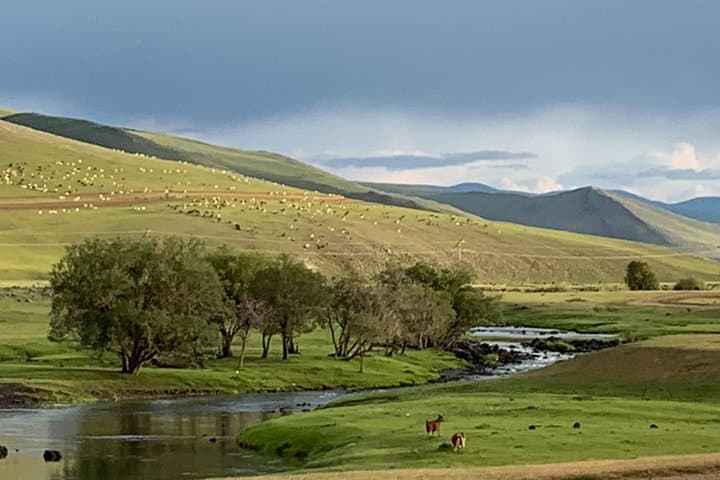 Customized Mongolia Private Tour – Terelj, Hustai, Gobi & Khuvsgul Options photo 5