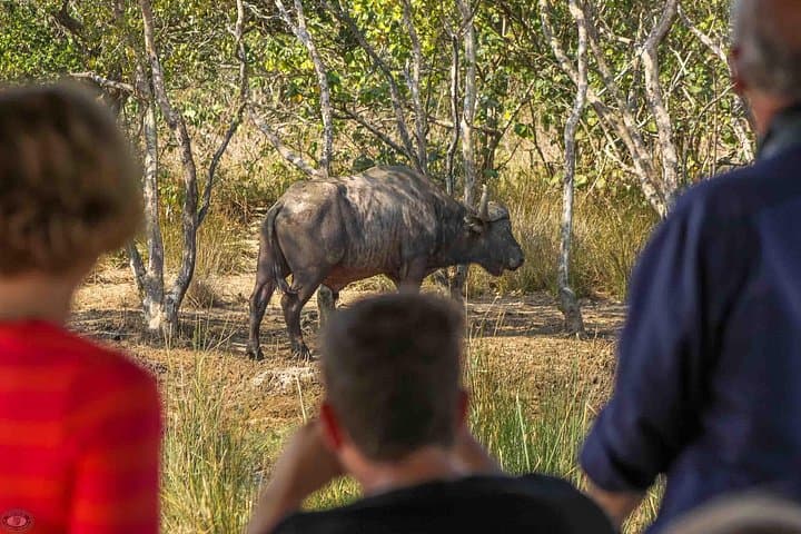 Full-day iSimangaliso Wetland Park Safari & Cape Vidal Snorkel photo 2