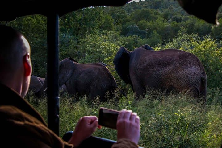 iSimangaliso Night Drive Safari: After-Dark Wildlife of St Lucia