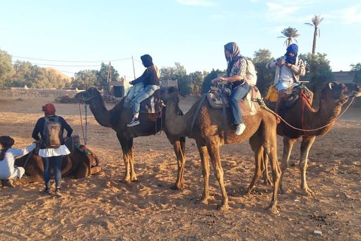 2-Day Fez to Merzouga Desert Tour: Camel Trekking & Erg Chebbi Camp photo 4
