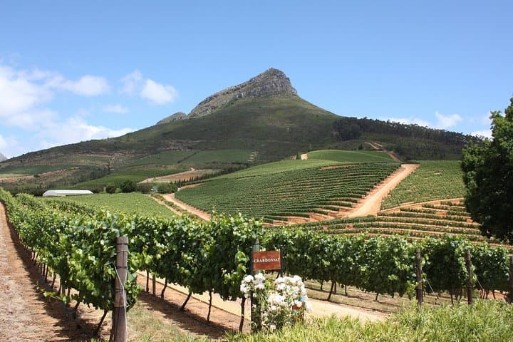 Half-Day Stellenbosch Winelands Tour from Cape Town — Wine Tastings & Village Drive photo 3
