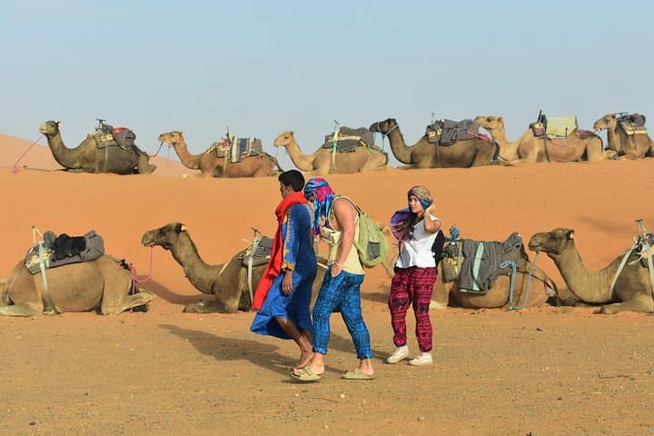 Overnight in Erg Chebbi: Camel Trek & Berber Desert Camp near Merzouga photo 5