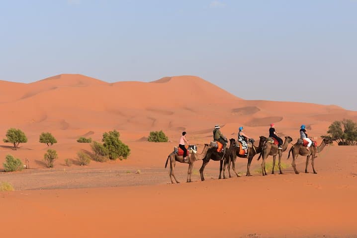 Overnight in Erg Chebbi: Camel Trek & Berber Desert Camp near Merzouga photo 3