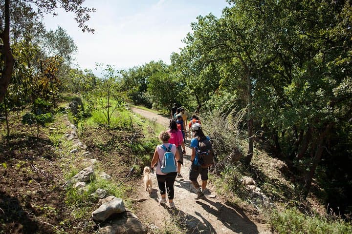 Private Trek on the Sirenuse Trail: Sant'Agata to Punta Sant'Elia photo 4