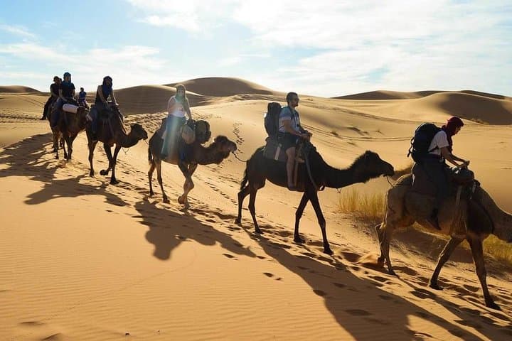 Luxury 2-Day Zagora Desert Tour from Marrakech: Camel Sunset & Overnight Camp photo 6