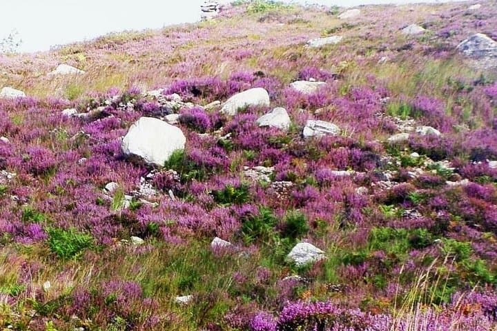 Self-Guided Electric Bike Tour Through the Burren’s Ancient Sites photo 5