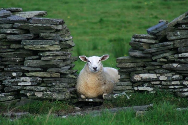Self-Guided Electric Bike Tour Through the Burren’s Ancient Sites photo 6