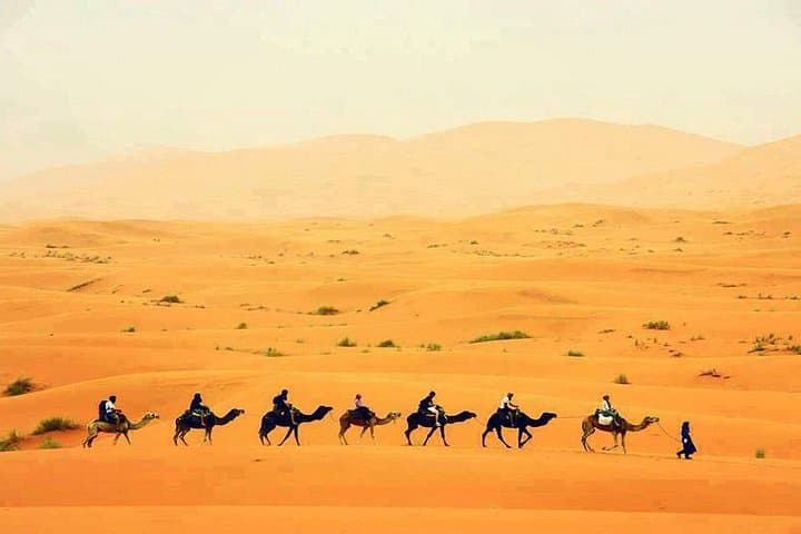 Fes to Marrakech: 3-Day Sahara Crossing via Merzouga, Todra & Dades photo 2