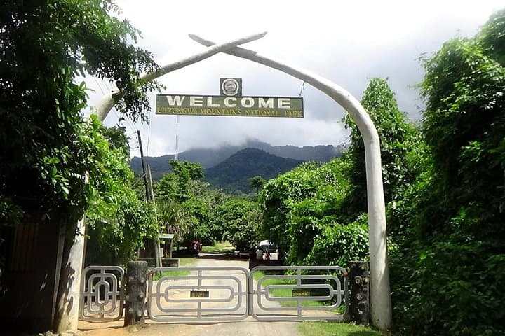 Mikumi Game Drive & Udzungwa Trek: 4-Day Safari with Maasai Visit photo 1