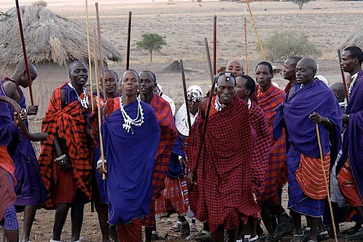 Mikumi Game Drive & Udzungwa Trek: 4-Day Safari with Maasai Visit photo 2