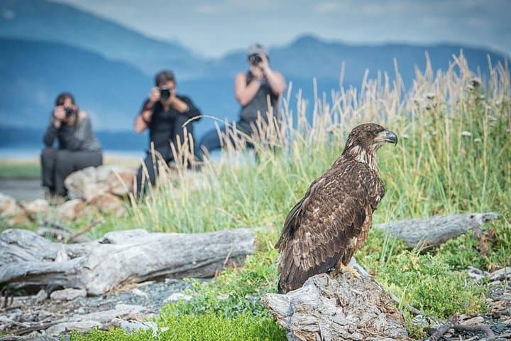 Focus on Haines: Private Nature & Photography Tour in Alaska’s Chilkat Valley photo 2