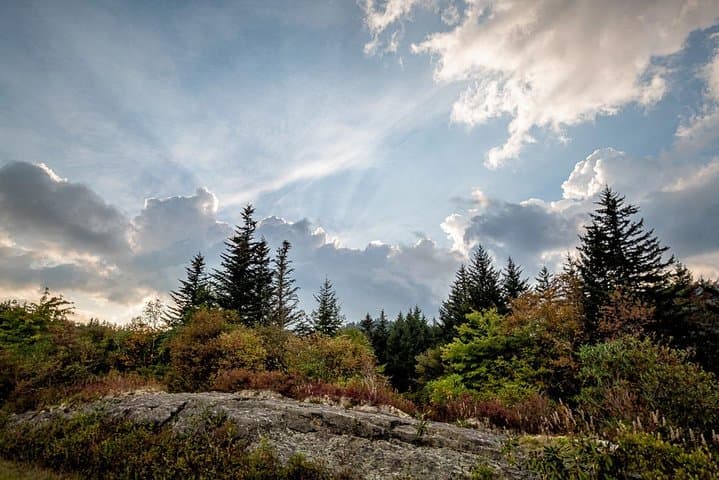 Blue Ridge Half-Day Photo Tour: Vistas, Waterfalls & Instruction Near Asheville photo 5