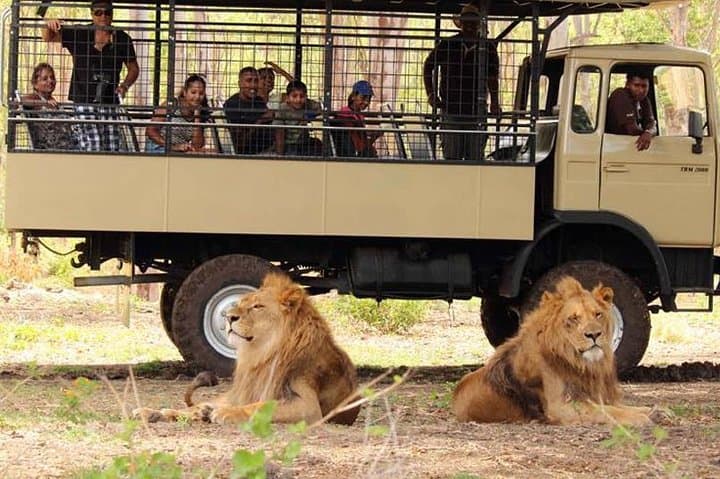 Casela Bird Park and La Vallée des Couleurs — Full-Day Private Taxi from Port Louis