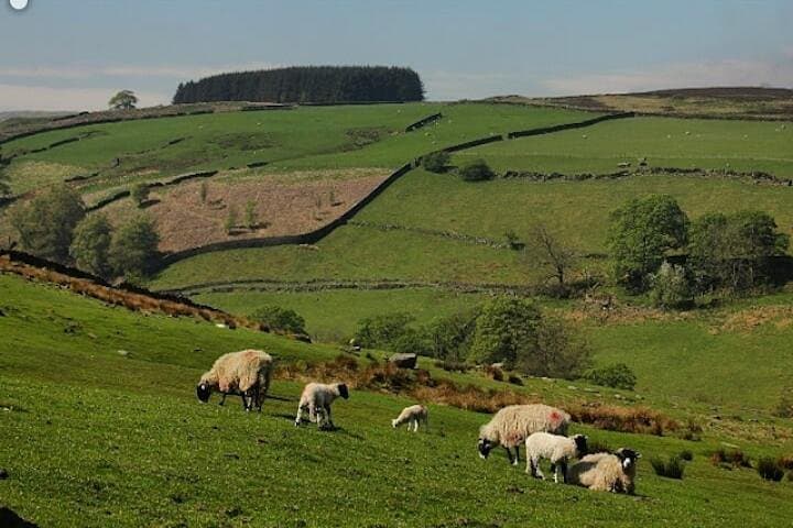 Brontë Country & Yorkshire Dales: Private Day Trip from York photo 4