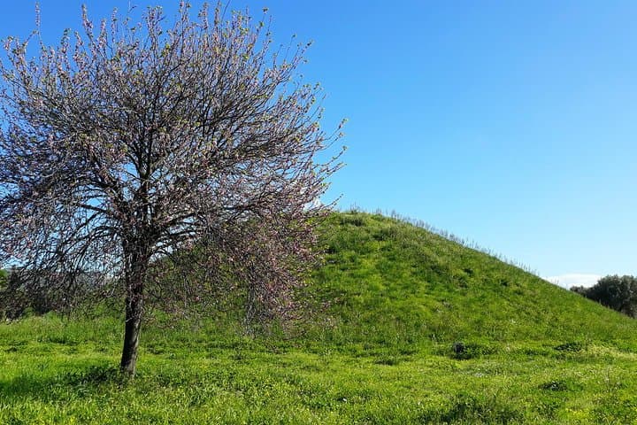 Private Marathon & Thermopylae Full-Day History Tour from Athens photo 5