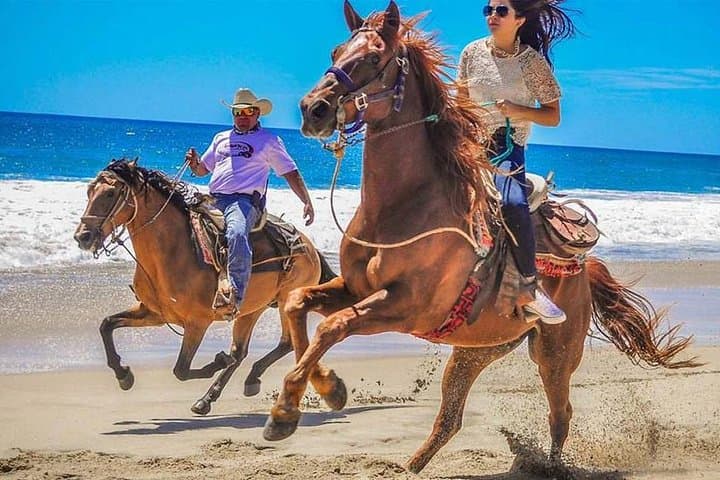 ATV & Horseback Combo from Cabo San Lucas: Desert Ridges to Playa Migriño