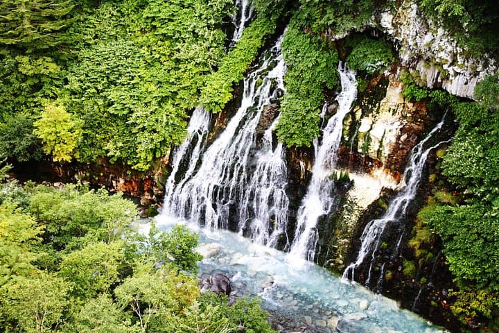 Sapporo Day Trip: Asahiyama Zoo, Blue Pond, Shirahige Falls & Ningle Terrace photo 2