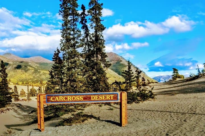 Full-Day Yukon Shore Excursion from Skagway — White Pass, Sled Dogs & Emerald Lake photo 3