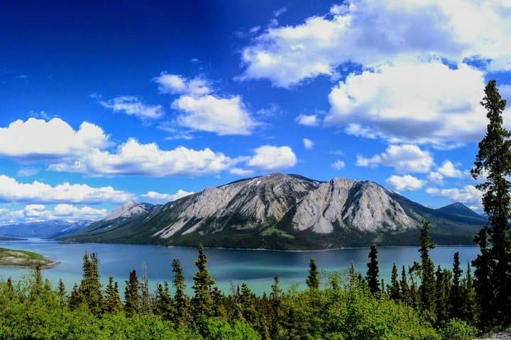 Full-Day Yukon Shore Excursion from Skagway — White Pass, Sled Dogs & Emerald Lake photo 4