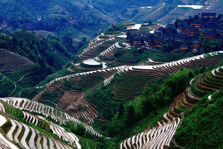 Exploring Dragon's Backbone Rice Terraces: Private Day Tour from Guilin photo 5