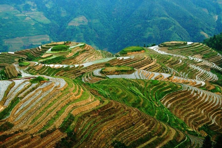 Exploring Dragon's Backbone Rice Terraces: Private Day Tour from Guilin photo 6
