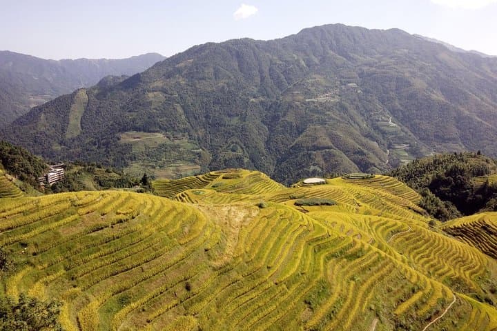 Longji (Dragon's Backbone) Rice Terraces Private Day Trip from Guilin — Explore Zhuang & Yao Villages photo 3