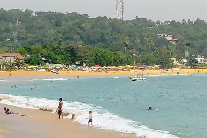 Senior-Friendly 12-Day Private Sri Lanka Tour: Beaches, Tea Country & Wildlife photo 5
