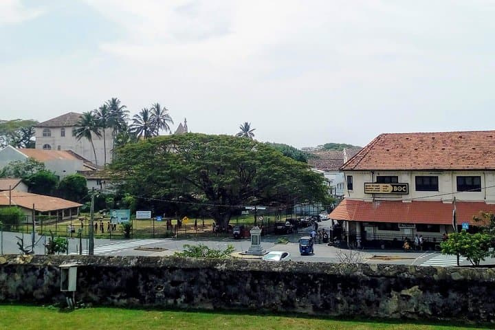 Senior-Friendly 12-Day Private Sri Lanka Tour: Beaches, Tea Country & Wildlife photo 6