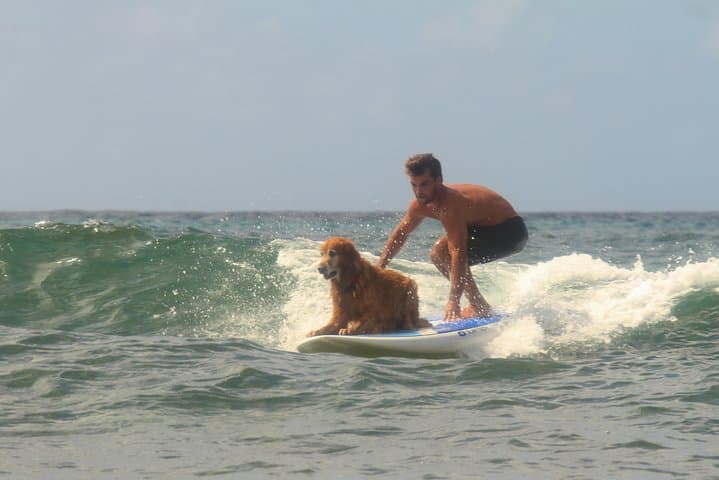 Semi-Private Surf Lesson at Punaluu Beach, Oahu — 2-Hour Beginner Surfing Experience photo 5