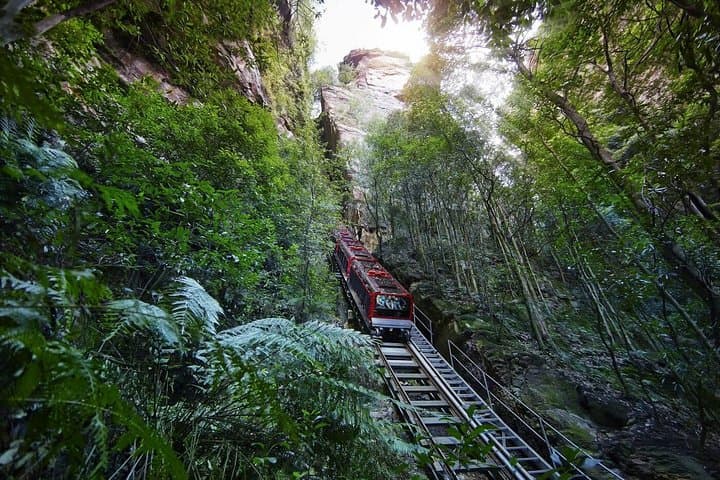 Private Blue Mountains Day Tour from Sydney — Three Sisters, Scenicworld & Parramatta River Cruise photo 2
