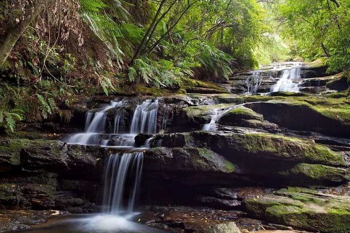 Private Blue Mountains Day Tour from Sydney — Three Sisters, Scenicworld & Parramatta River Cruise photo 3
