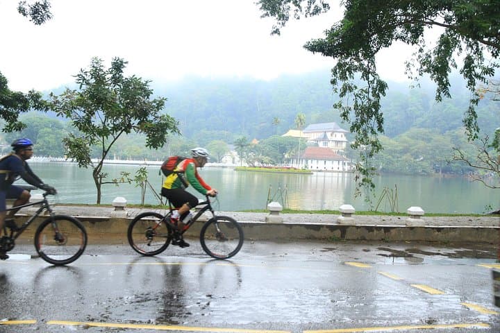 Kandy Suburban Cycling: Gannoruwa Farms, Tea Estates & 14th‑Century Temples