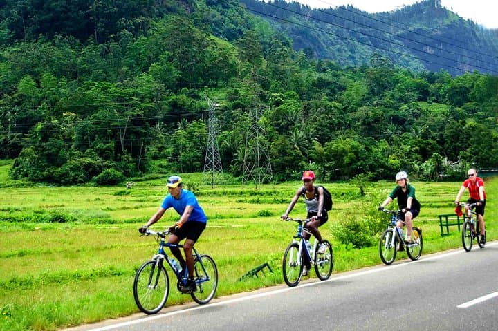 Galle Nature Cycling Trail: Paddy Fields, Cinnamon Forests & Coastal Villages