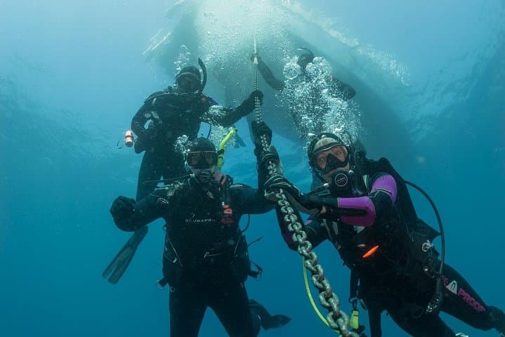 Nilaveli & Pigeon Island Fun Dives: Certified Diver Boat Trips in Trincomalee