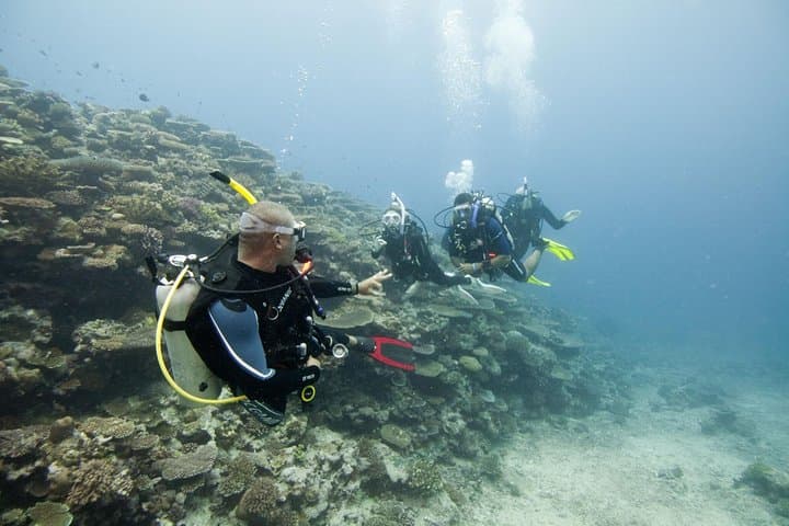 Nilaveli & Pigeon Island Fun Dives: Certified Diver Boat Trips in Trincomalee photo 2