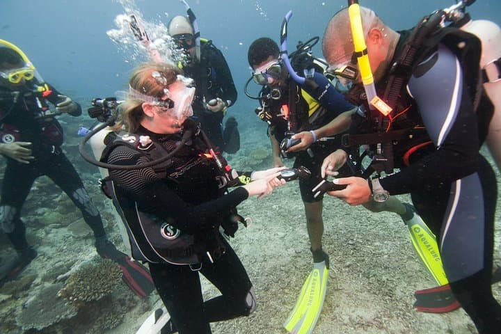PADI Advanced Open Water Diver Course in Nilaveli — 5 Dives & Specialty Training photo 2