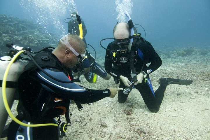 PADI Advanced Open Water Diver Course in Nilaveli — 5 Dives & Specialty Training photo 5