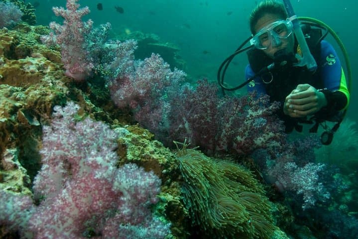 PADI Open Water Diver Course in Unawatuna: Learn to Dive the Sri Lankan Reef photo 6