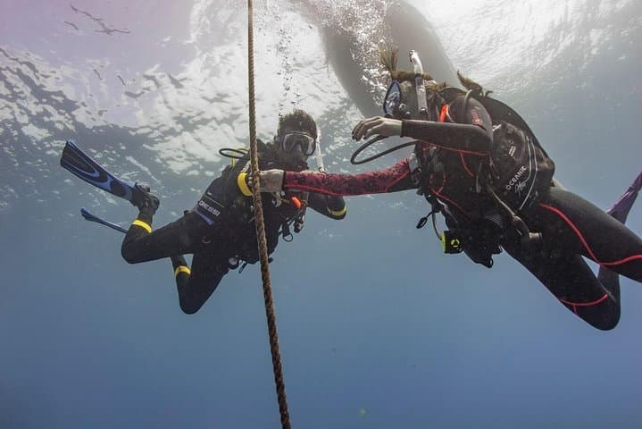 PADI Scuba Diver Course in Sri Lanka: Learn to Dive on the Indian Ocean photo 2