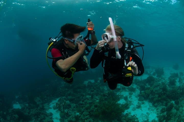 PADI Scuba Diver Course in Sri Lanka: Learn to Dive on the Indian Ocean photo 3