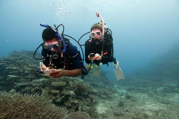 Adventure Dive Sri Lanka — Boat Dives & Specialty Scuba from Hikkaduwa photo 4