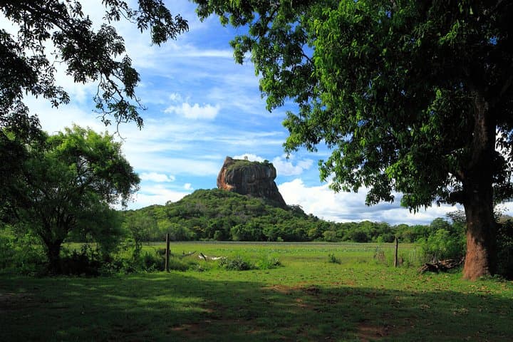 Sigiriya Rock and Dambulla Cave Temple: Private Day Tour from Sigiriya photo 5