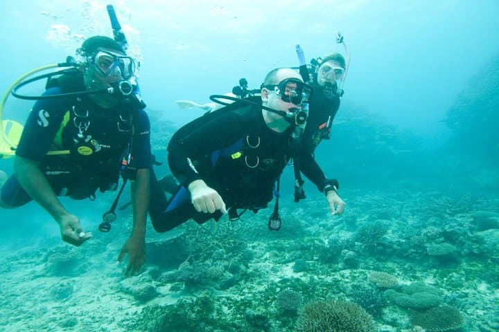 Discover Scuba Diving in Negombo: Shipwreck & Coral Reef Intro photo 5